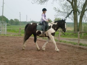 CIMG8623