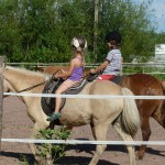 Die ganz Kleinen werden an das Reiten herangeführt